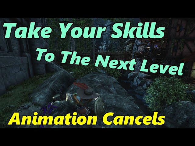 Mastering the art of Animation Cancel and your gaming skills will