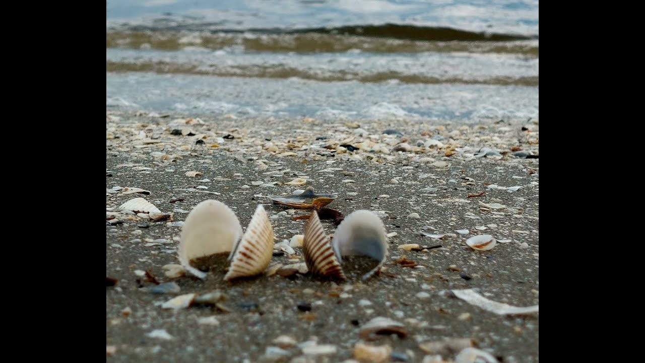 Official ICPDR Source to Sea Video (Short Version)