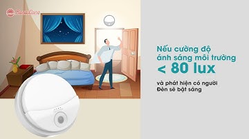 Đèn gắn tường cảm biến   GT16 PIR 180 15W