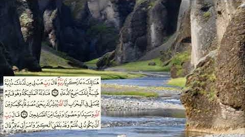 صفحة-55- page سعد الغامدي - -سورة ال عمران -Al-Imran