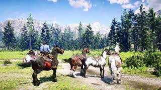 ARTHUR GOT THE BEST HORSES - Red Dead redemption 2 Gameplay