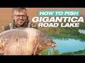 How To Fish Gigantica Road Lake Korda