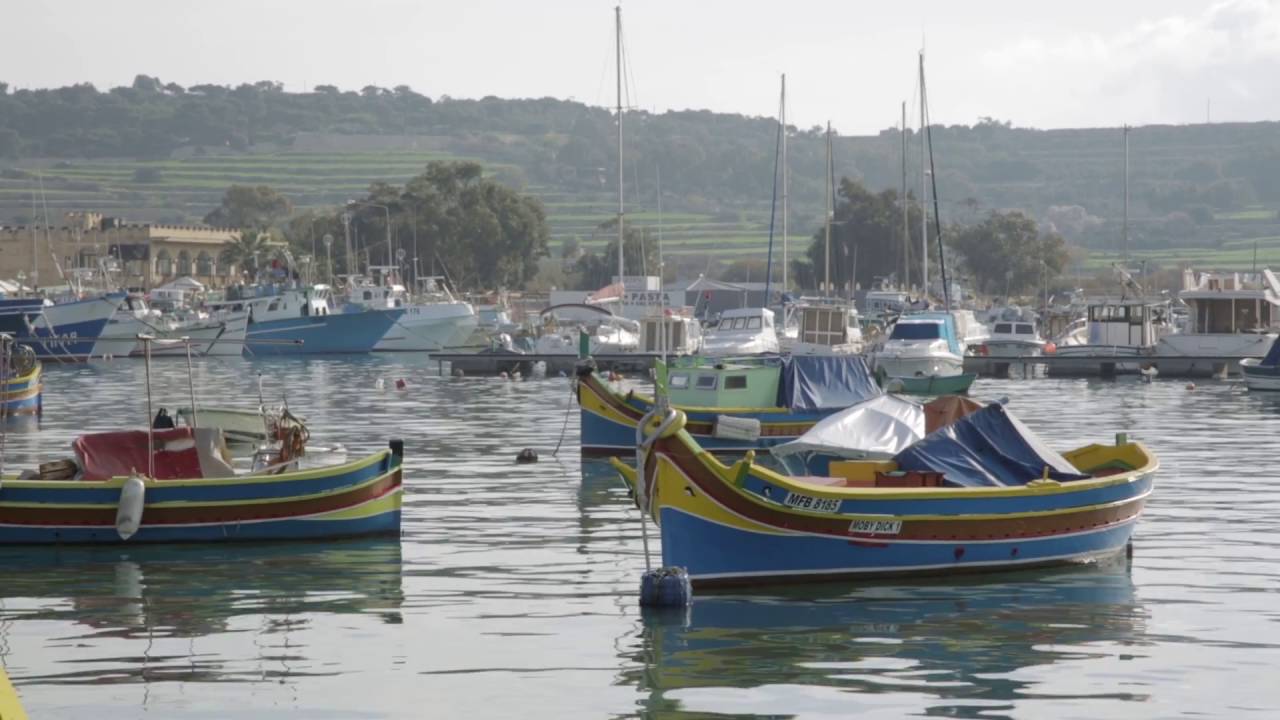 Sustainability in Seafood: Evolving Today's Trends into Tomorrow's Sustainable Markets