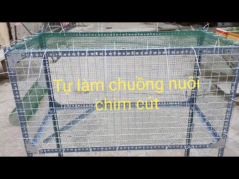 Video Egg incubators - 6 | Tự làm chuồng nuôi chim cút tại... - youtube