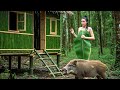 48 Hours Of Rainforest Shelter Building Bamboo House Survival Skills Wild Boar Traps 