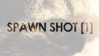 Spawn Shot [1]