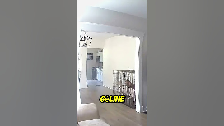 He chases her to the neighbors' house.