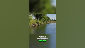 Lost and Found: The Key Retrieval Adventure!