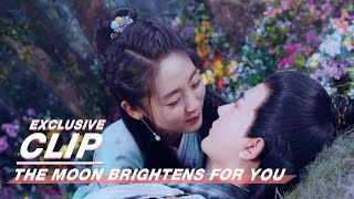Exclusive: Kiss After Drunk And Tell The Truth | The Moon Brightens for You | 明月曾照江东寒 | iQIYI