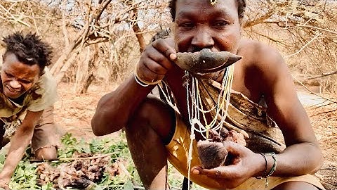 Unseen Footage: How the Hadzabe Gather, Hunt & Eat Like True Wild Survivors!