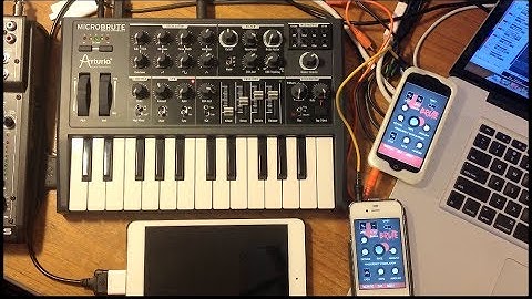 MicroBrute with 3 LFOs