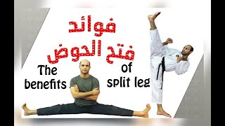 فوائد فتح الحوض  The benefitof split leg