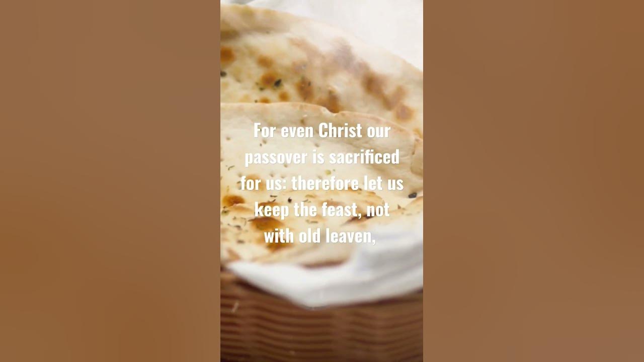 1-corinthians-5-6-8-youtube