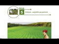 6th Std-Science-Term III Lesson 5 - Plants in Daily Life (அன்றாட வாழ்வில் தாவரங்கள்)