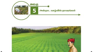 6th Std-Science-Term III Lesson 5 - Plants in Daily Life (அன்றாட வாழ்வில் தாவரங்கள்)