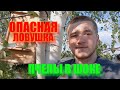 ЛОВИМ ПЧЁЛ | ОТ РОЯ К ПРОМЫШЛЕННОЙ ПАСЕКЕ | ЧАСТЬ 1