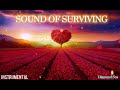 Nichole Nordeman - Sound Of Surviving (Instrumental)