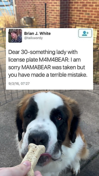 you have made a terrible mistake...(nunu the saint bernard)