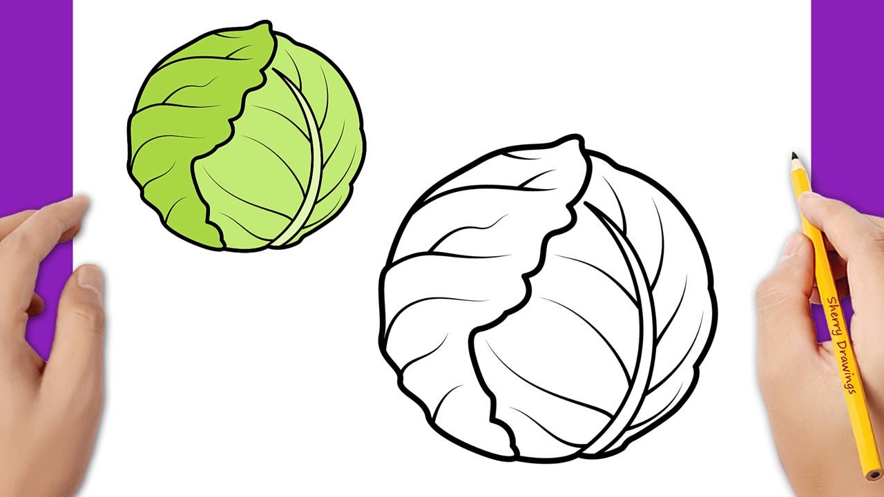 HOW TO DRAW A CABBAGE EASY - YouTube