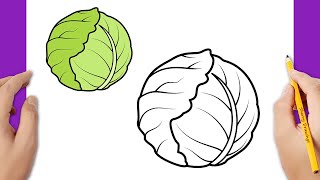 HOW TO DRAW A CABBAGE EASY