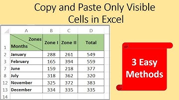 Copy & Paste Visible Cells Only in Excel