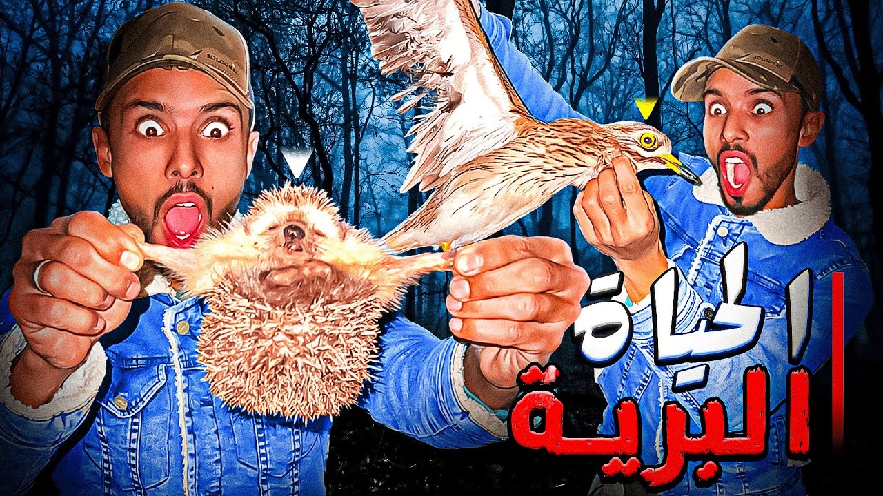 الحياة البرية:تحدي صيد الأرنب🐇والحجل🐗🦔البري يوم كامل في البرية أشنو وقع ميمكنش 😱🏹