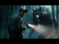 Rangers Share the Truth About the Dogman and Other Creatures Lurking in Maine’s Deep Woods