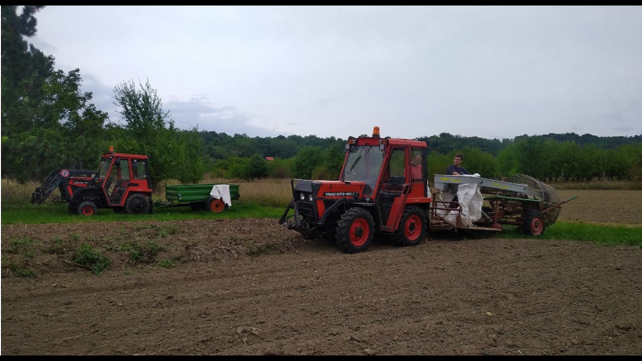 MT8-150 MT8-065 Sklizeň Brambor