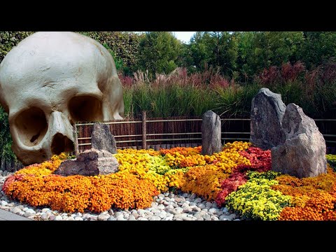 Сад камней - главная тайна страны восходящего солнца
