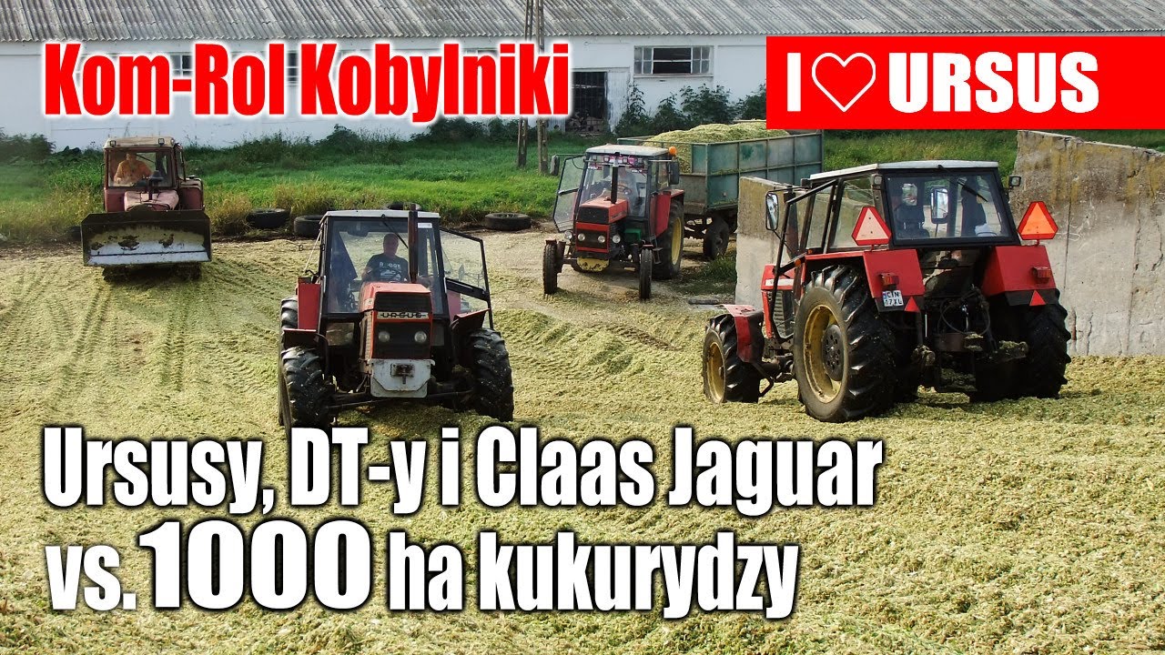 maxresdefault Ursusy, DT y i Claas Jaguar vs.1000 ha kukurydzy w Kom Rol Kobylniki (VIDEO)