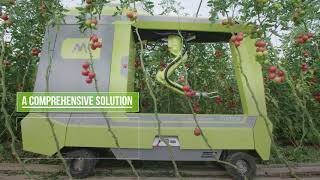 MetoMotion- Greenhouse Robotic Tomato Harvester