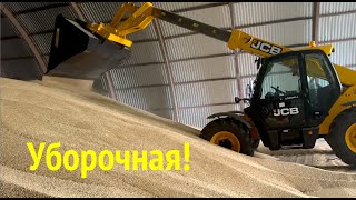 Погрузчик JCB. Буртуем зерно.