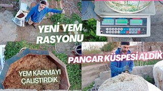 YENİ YEM RASYONU PANCAR KÜSPESİ ALDIK YEM KARMAMAYI ÇALIŞTIRDIK #yemrasyonu#sütineği #pancarküspesi