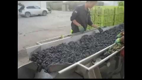 grape destemmer grape destemming machine grape stem remove machine