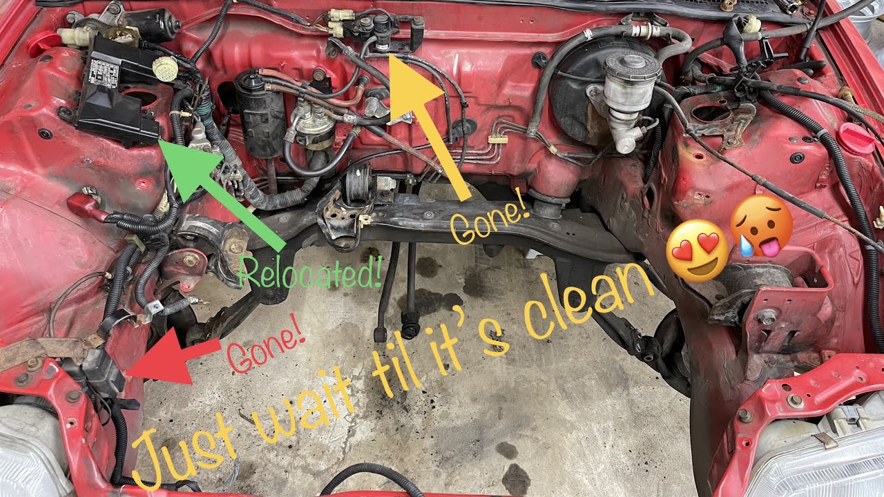 ALL MOTOR D15 EF HATCH / RYWIRE HARNESS & AEM WIDEBAND INSTALL / CLEANING THE BAY