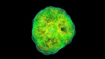 Three-Dimensional Core-Collapse Supernova (highest resolution)