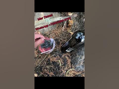 Работа с бесами. Приворот через Енаху. #магия #эзотерика #бесы #енаха # ...