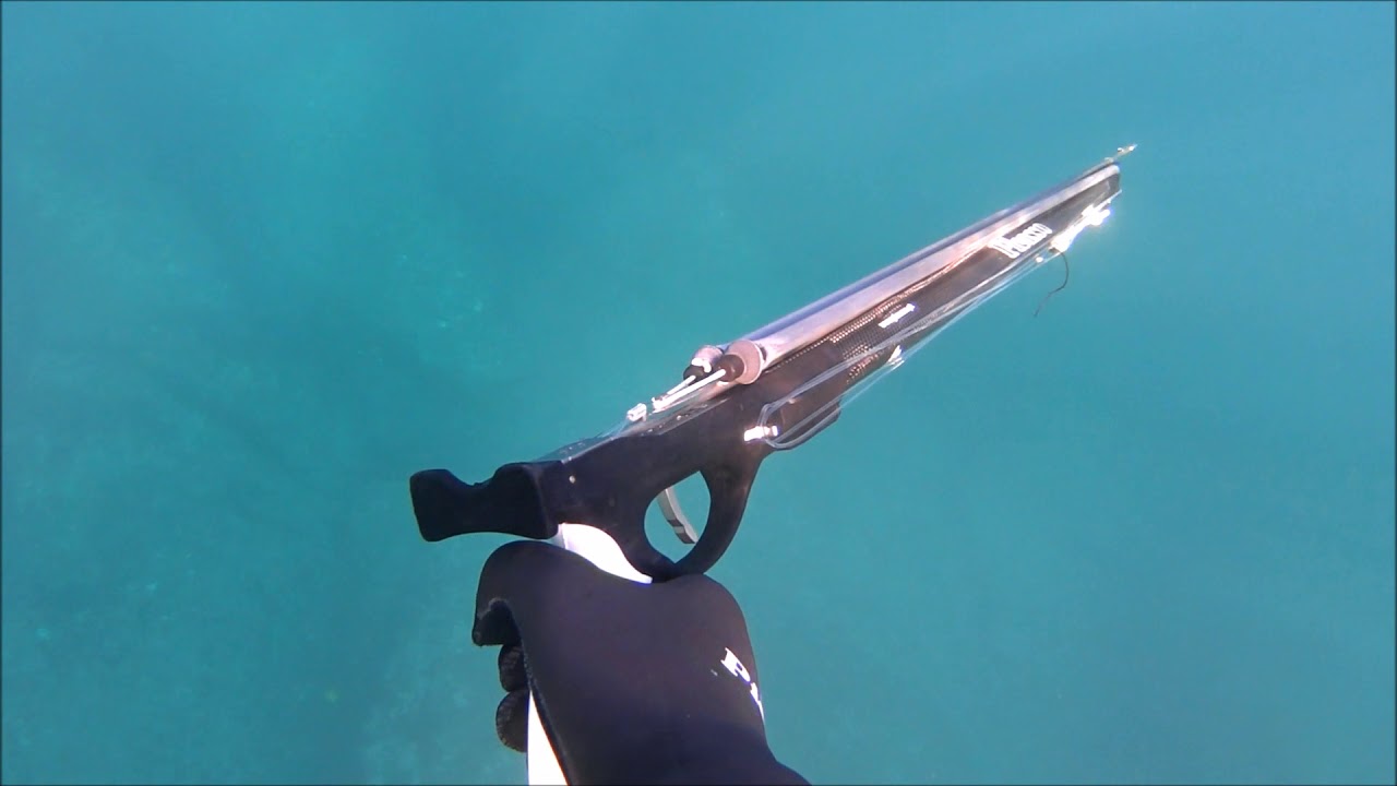 Picasso Spearfishing / Pesca Submarina Presentation / Presentación