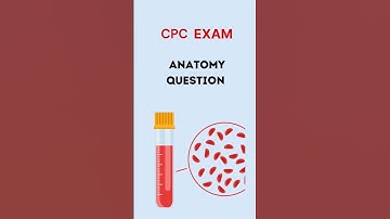 CPC Exam Anatomy frequently asked question. Let