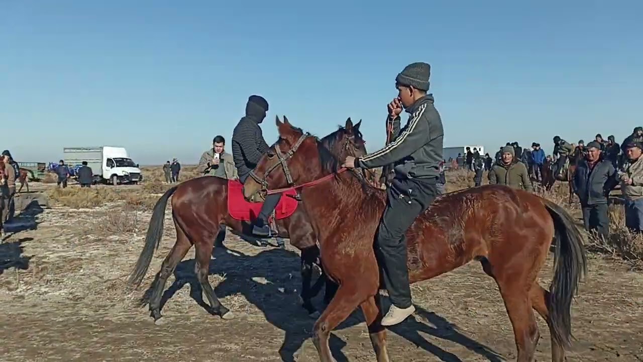 11-ЯНВАРЬ 2025 ж МАҚСЕТ АҒАНЫҢ 50 ЖАС ЖӘНЕ НЕМЕРЕЛЕРІНІҢ СҮНДЕТ ТОЙЫ