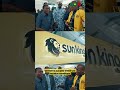 SunKing, l'énergie qui change votre vie