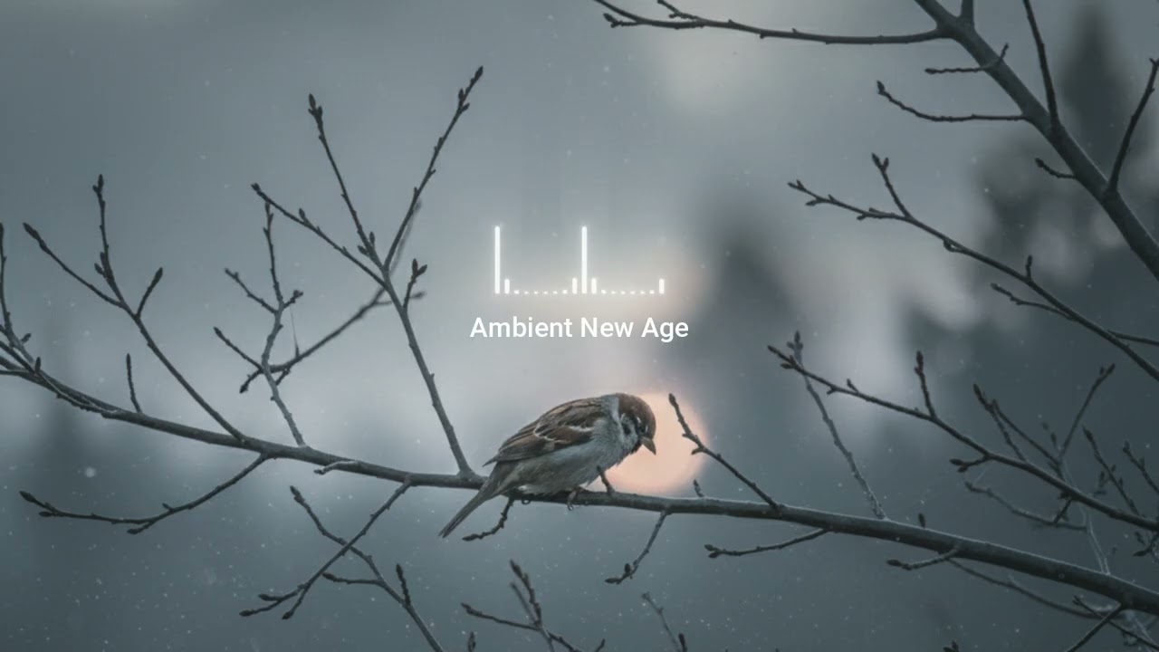 [PLAYLIST] Ambient New Age