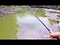 Exploring SMALL Streams for BIG FISH! (Bobber fishing)