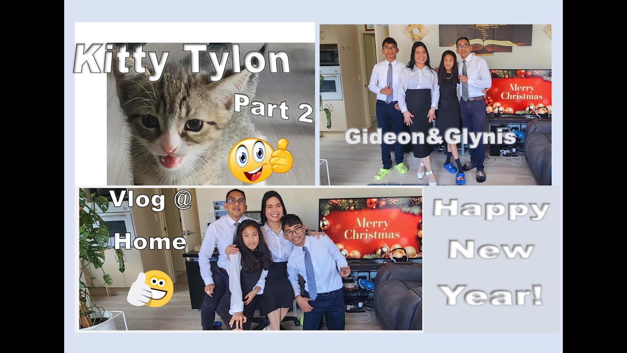 #PostChristmas #RescuedKitty #TylonKitty #MemoryVerse #RejoiceInTheLordAlways