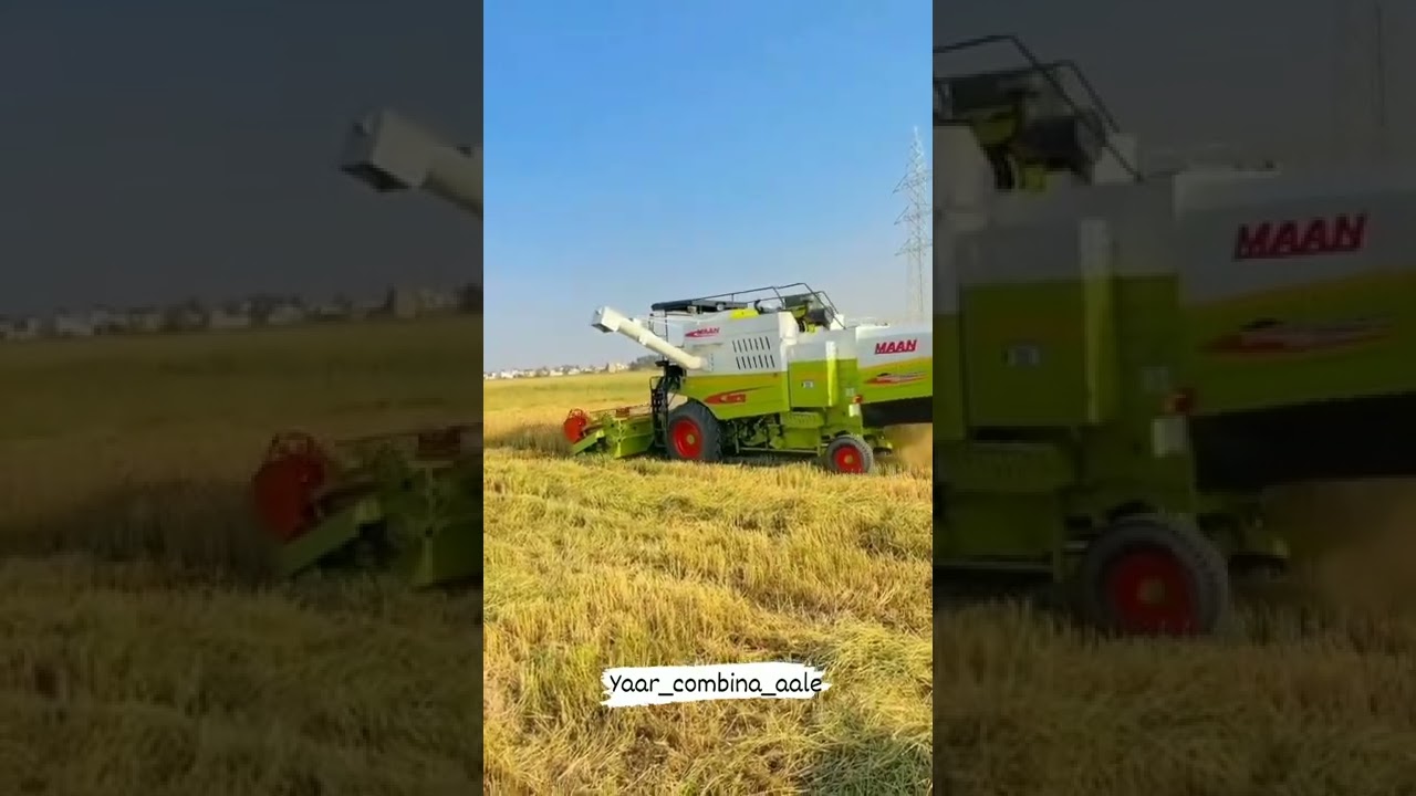 Maan combine status combine video