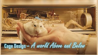 Hamster Cage Set up | A World Above and Below
