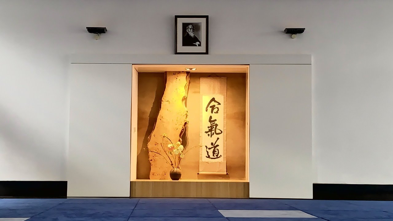 aikido online training #10