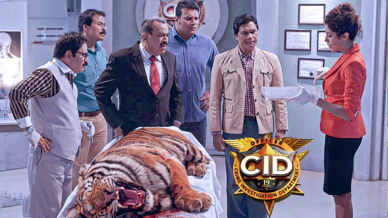 Season 2 | कैसे पाता लगा पाएगी Cid Team  जंगल में टाइगर का किसने किया खून ? CiD  New Episode 2026