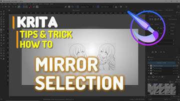 Krita How To Mirror Selection