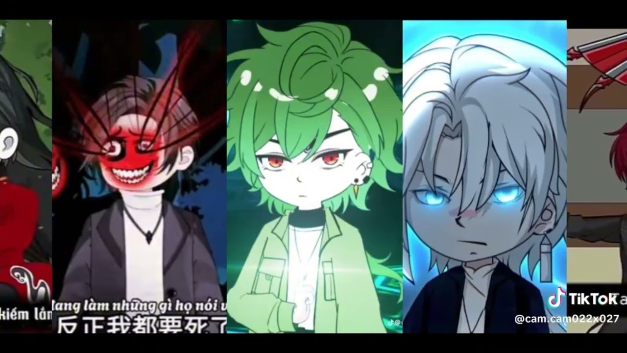 [ tiktok] tổng hợp gấu